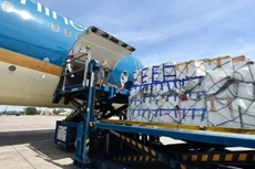 Các đơn vị trong ngành hàng không cần tăng cường kiểm tra, rà soát, phòng chống buôn lậu, gian lận thương mại và vận chuyển hàng hóa trái phép. Ảnh chỉ mang tính minh họa. Nguồn: Internet