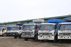 Ảnh chỉ mang tính minh họa. Nguồn Internet