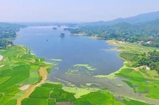 Ảnh chỉ mang tính minh họa. Nguồn Internet