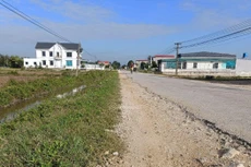 Ảnh chỉ mang tính minh họa. Nguồn Internet