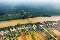 Ảnh chỉ mang tính minh họa. Nguồn Internet