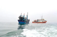 Qua rà soát hiện nay Cà Mau có hơn 1.000 tàu cá thuộc diện mất tích (Ảnh minh họa).