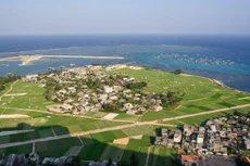 Ảnh chỉ mang tính minh họa. Nguồn Internet