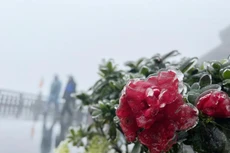 Bản tin thời sự sáng 3/4