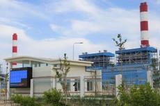 Ảnh chỉ mang tính minh họa. Nguồn Internet