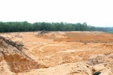 Khu vực bị đào sâu trên phạm vi rộng để lấy đất vận chuyển đi nơi khác bán. Ảnh: TTXVN