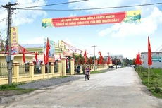 Ảnh chỉ mang tính minh họa. Nguồn Internet