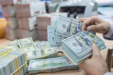 Việt Nam cần nỗ lực kiểm soát tỷ giá, lãi suất. Ảnh chỉ mang tính minh họa. Nguồn Internet