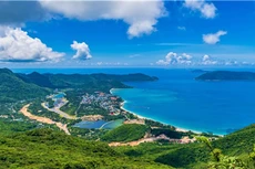 Dưới góc nhìn của nhiều nhà khoa học, nhà thầu kinh nghiệm thì nên đầu tư cáp ngầm.