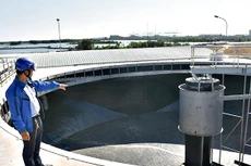 Ảnh chỉ mang tính minh họa. Nguồn Internet