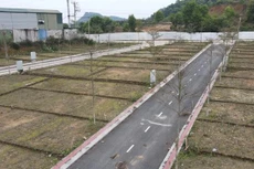 Vân Đồn cho phép tách thửa, chuyển mục đích sử dụng đất trở lại