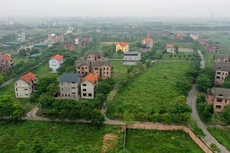 Đấu giá 18 lô đất ở Mê Linh, chênh 56 tỷ đồng so với giá khởi điểm