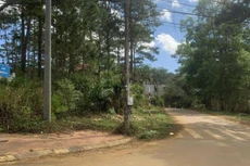 Đất được cấp cho 5 cá nhân không thông qua đấu giá