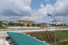 Ảnh chỉ mang tính minh họa. Nguồn Internet