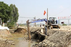 Ảnh chỉ mang tính minh họa. Nguồn Internet