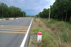 Ảnh chỉ mang tính minh họa. Nguồn Internet