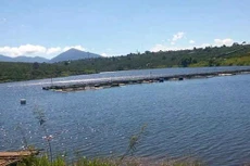 Ảnh chỉ mang tính minh họa. Nguồn Internet