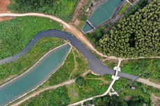 Ảnh chỉ có tính chất minh họa. Nguồn ảnh: Vietnam+