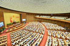 Kỳ họp thứ 3, Quốc hội khóa XV: Thảo luận ở tổ về Dự án Luật Khám bệnh, chữa bệnh (sửa đổi)