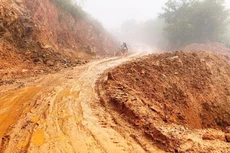  Ảnh chỉ mang tính minh họa. Nguồn Internet