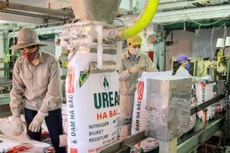 Bán đấu giá máy móc, thiết bị Công ty Phân Đạm và Hóa Chất Hà Bắc