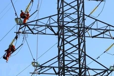 Ảnh chỉ mang tính minh họa. Nguồn Internet