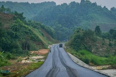 Ảnh chỉ mang tính minh họa. Nguồn Internet