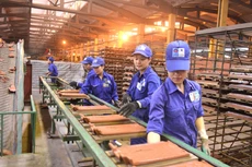 Ảnh chỉ mang tính minh họa. Nguồn Internet