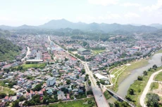 Ảnh chỉ mang tính minh họa. Nguồn Internet