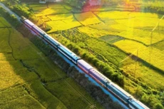 Ảnh chỉ mang tính minh họa. Nguồn Internet