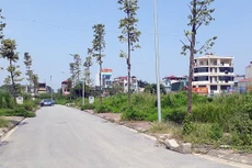 Ảnh chỉ mang tính minh họa. Nguồn Internet