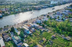 Ảnh chỉ mang tính minh họa. Nguồn Internet 