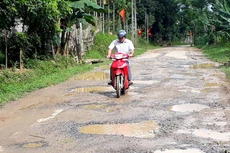 Ảnh chỉ mang tính minh họa: Internet