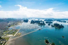 Ảnh chỉ mang tính minh họa. Nguồn Internet