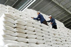 Xuất cấp hơn 484 tấn gạo cho tỉnh Hà Giang hỗ trợ nhân dân trong thời gian giáp hạt