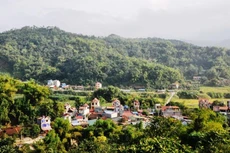 Ảnh chỉ mang tính minh họa. Nguồn Internet