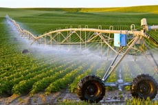 “Cần có giải pháp mạnh để doanh nghiệp Việt Nam cải thiện sức cạnh tranh”