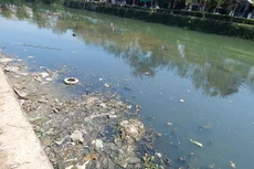 Ảnh chỉ mang tính minh họa. Nguồn Internet