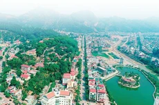 Ảnh chỉ mang tính minh họa. Nguồn Internet