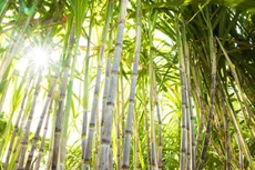 Bản tin thời sự sáng 3/8