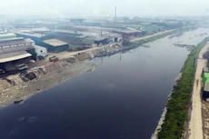 Ảnh chỉ mang tính minh họa. Nguồn Internet