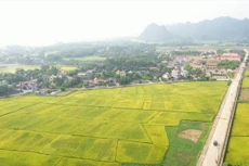 Việc cấp GCNQSDĐ ghi mục đích sử dụng đất nông nghiệp vườn, ao trong cùng thửa đất ở có thời hạn lâu dài là chưa đúng quy định.