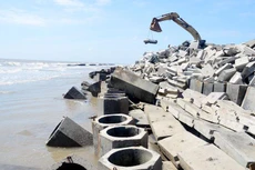 Ảnh chỉ mang tính minh họa. Nguồn Internet