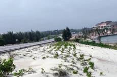 Khu vực được quy hoạch xây dựng Khu công nghiệp Cam Liên, huyện Lệ Thủy, tỉnh Quảng Bình. Ảnh: Internet