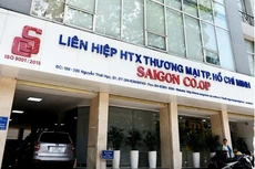 Đề nghị Ban Bí thư xem xét, thi hành kỷ luật nguyên Chủ tịch HĐQT Saigon Co.op Diệp Dũng