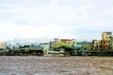 Ảnh chỉ mang tính minh họa. Nguồn Internet