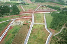 Lâm Đồng tạm dừng tách thửa đất 'núp bóng' dự án bất động sản