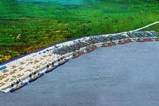 Ảnh chỉ mang tính minh họa. Nguồn Internet