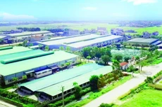 Ảnh chỉ mang tính minh họa. Nguồn Internet