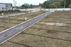 Loạn phân lô bán nền "núp bóng" tách thửa, Hà Nội chỉ đạo siết chặt